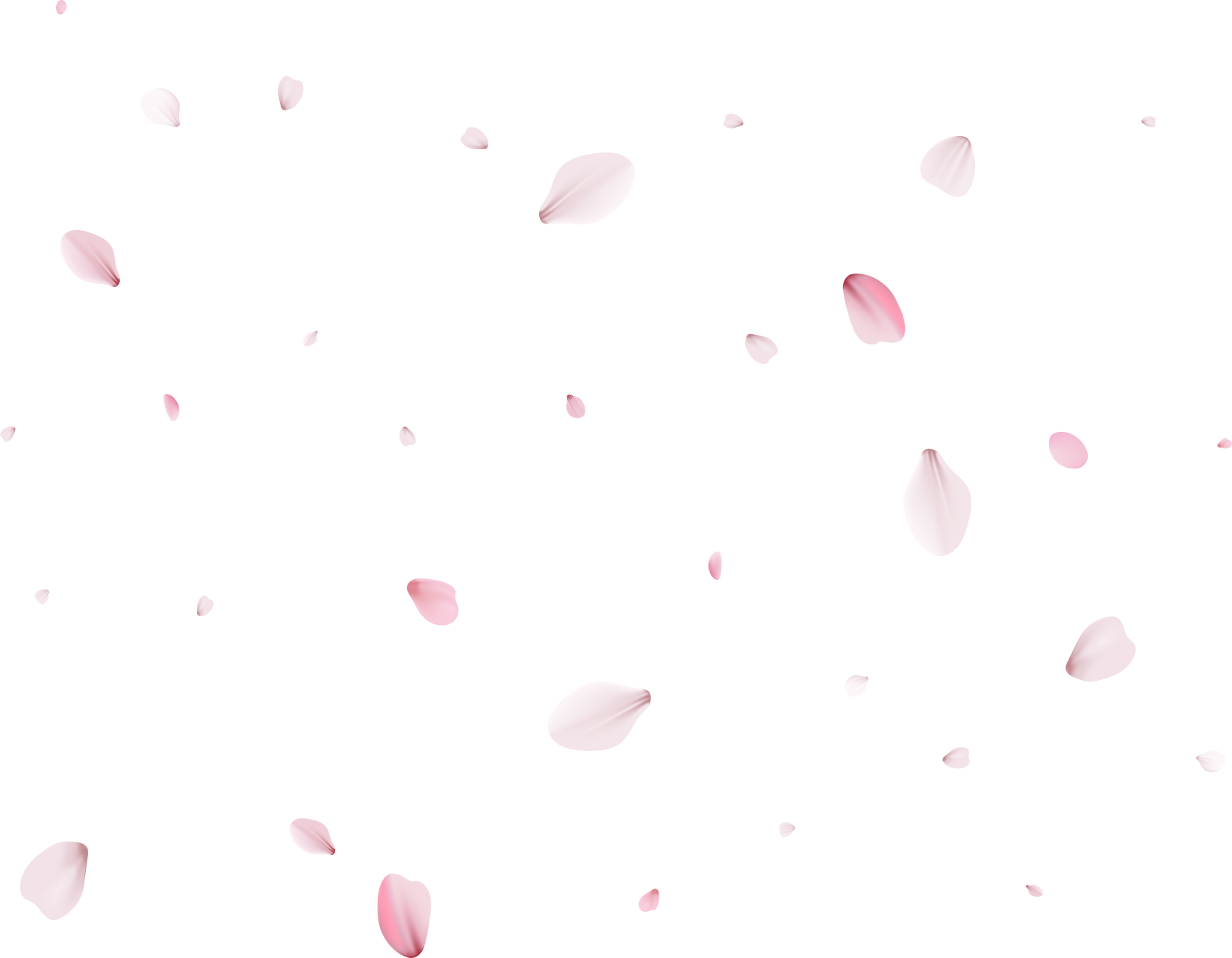 Realistic Cherry Petals